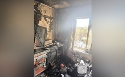 Из горящей пятиэтажки в Гарболово спасли двоих взрослых и ребенка Из горящей пятиэтажки в Гарболово спасли двоих взрослых и ребенка